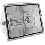 Heath Zenith SL-5505-WH 500-Watt Halogen Floodlight with Bulb Included - White