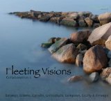 Fleeting Visions: Collaboration 2