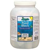 Pond Block - 50 pk