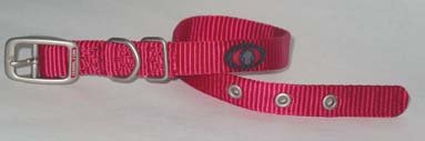 Dog Collar - 5/8 in. x 14 in. - Raspberry
