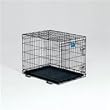 Midwest Life Stages Single-Door Folding Metal Dog Crate, 30 Inches by 21 Inches by 24 Inches