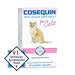 Nutramax Cosequin for Cats - 80 Sprinkle Capsules