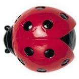 Knob - hand-painted red laybug knob