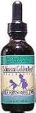 Echinacea/Goldenroot/Blackberry 2 oz. ( Multi-Pack)