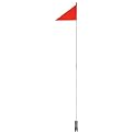 Ventura Security Flag