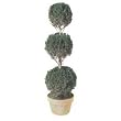 Preserved Juniper Topiary - 3 Ball with Clay Pot (Evergreen) (60"H)