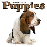 Childrens Toyshop  Electronics : 2009 Dog Calendars: Puppies 2009 Calendar - 2009 Dog Calender - 30 x 30 cm