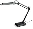 LumaPro 4PD53 Computer Light, 13 W