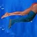 Xerosox Waterproof Cast Cover - Half Leg - Large, Leg Circumference: 13 in. and up