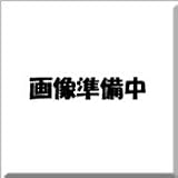 GH-CF2GC (2GB)