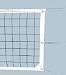 Volleyball Net # 234