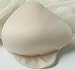 Nearly Me Casual Weighted Foam Forms 550, Weighted Asymmetrical Foam Form, Left, Size 10, Fits 50A, 48B, 46C, 44D, 42DD These slightly weighted foam forms are made of molded polyurethane foam with permanent polyester fabric covers. They are recommended for women who like the feel of a lighter weight form, have arthritis or who like the lighter weight when exercising. These forms can be worn while sleeping to add comfortable support and are contoured to fit snugly against the body with a security tab to help anchor the forms along a bra, nightgown or camisole band. Beige only in sizes 3-10 left and right. Product photo may not exactly match the product offered for sale. Please refer to the product description.