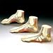 Anatomical Chart Budget Foot Model Set Of3 3/st - Model Chm312