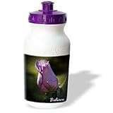WhiteOak Photography Inspirational Floral Prints - Believe Purple Rose - Water Bottles