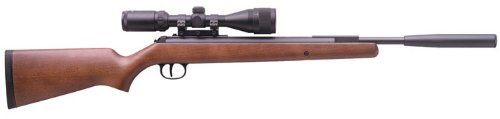 Diana RWS 34 Meisterschutze Pro Compact air rifle