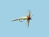 Review Turrall  / Turrall Midge Brown Size 20