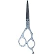 HAIRART Professional 5 1/2 inch BV Offset Styling Shears (Model: 53001) (Pack of 1)