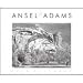 Office Products : Ansel Adams 2009 Deluxe Wall Calendar