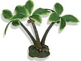Blue Ribbon Pet Products Palm Tree Island Xlarge - EE493