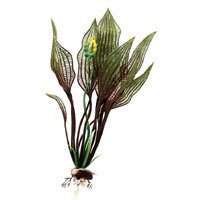 Flowering Lace - X-large - 13 in. - Buy Flowering Lace - X-large - 13 in. - Purchase Flowering Lace - X-large - 13 in. (Penn Plax, Home & Garden, Categories, Pet Supplies, Fish & Aquatic Pets, Aquarium Accessories, Decor, Plastic Plants)