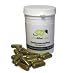 Natural Performance Plus - Support your pets brain functioning & physical performance...