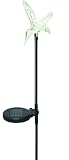 Solar Hummingbird Garden Stake Light. Color changing LED light. Black Pole!
