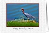 Birthday, Pastor, Little Blue Heron Card