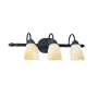 Thomas Lighting M1693-63 Willow Three Light Wall Sconce