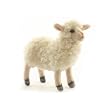 Little Cream Lamb Plush Toy By Hansa