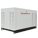 Guardian Elite 22 kW Standby Power Generator (120/208V Premium-Grade) - QT02224GNAN