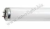 F20T12/TERRA/R F20T12/TERRA-R/BP 24 INCH FOR REPTILES Light Bulb / Lamp Voltarc Z Donsbulbs