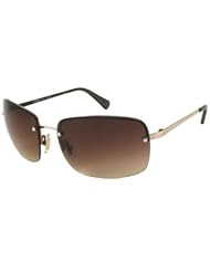 Fashion Sunglasses: Gold-Brown Brown Gradient by Coach