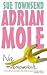 Adrian Mole: Na Manowcach (Adrian Mole, #4)