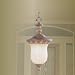 Livex Savannah Outdoor Hanging Lantern - 23.5H in. Venetian Patina