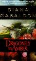 Dragonfly in Amber