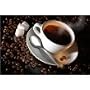 Coffee of the Month Club - Seasonal Gourmet Coffee! - FREE SHIPPING with every order!