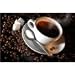 Gourmet Coffee of the Month Club - 12 Months with Free Shipping