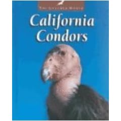California Condors