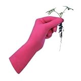 Foxgloves Original - Small, Fuchsia Pink