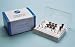 Shofu Dental Porcelain Veneer Kit Ea - Model 300 Categorization: Finishing & Polishing > Mounted Points
