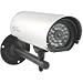 Hi-Res Outdoor Long Range IR CCD Security Camera