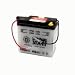 Produkt-Bild: Batterie 6V 2Ah, 6N2-2A-4, 00211, YTX20L-BS