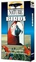 PBS NATURE SERIES : BIRDS - PARROTS AND EXTRAORDINARY BIRDS