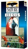 PBS NATURE SERIES : BIRDS - PARROTS AND EXTRAORDINARY BIRDS