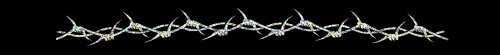 Barbwire Holo Exterior Sunscreen Adhesive