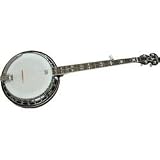 Washburn B16 Banjo ( Standard ) - B0002H0LVO