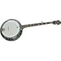 Washburn B16 Banjo (Standard)