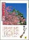 尺八ヒット演歌2 (尺八譜) (邦楽選書)の画像