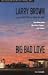 Book Big Bad Love: Stories