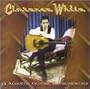 33 Acoustic Guitar Instrumentals